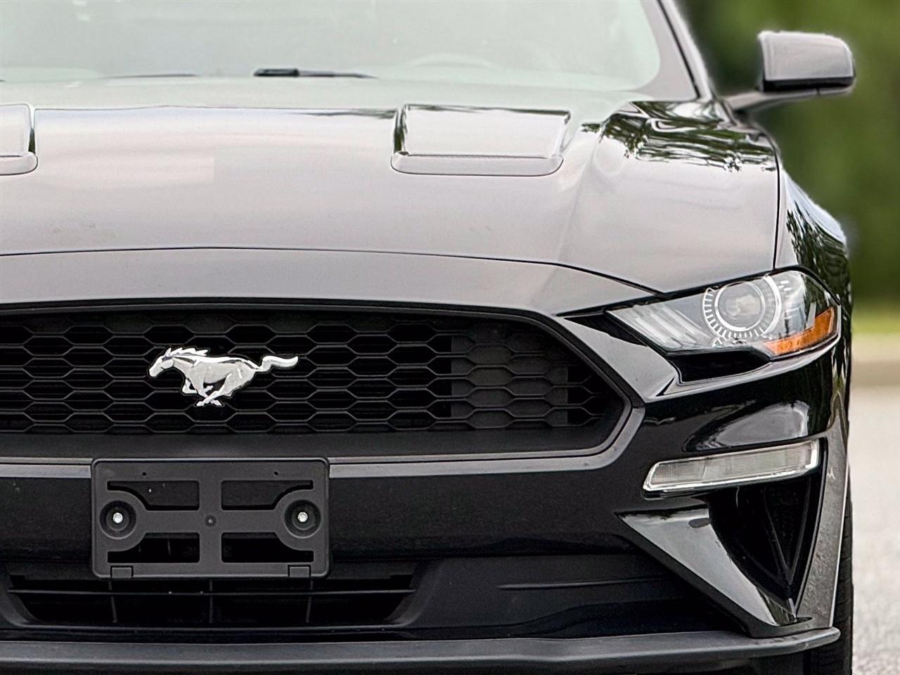 Ford Mustang  2019