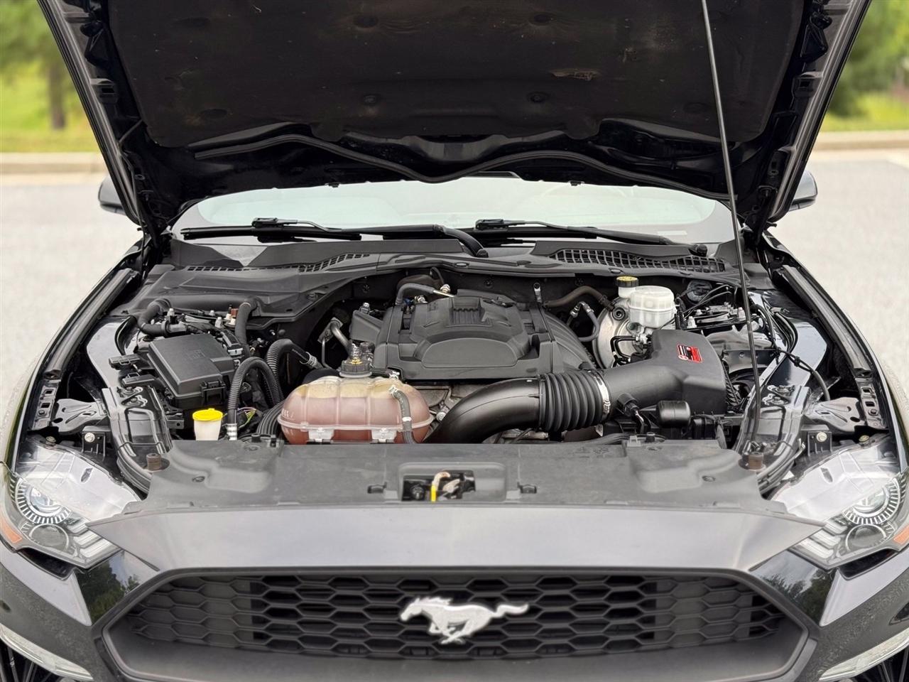 Ford Mustang  2019