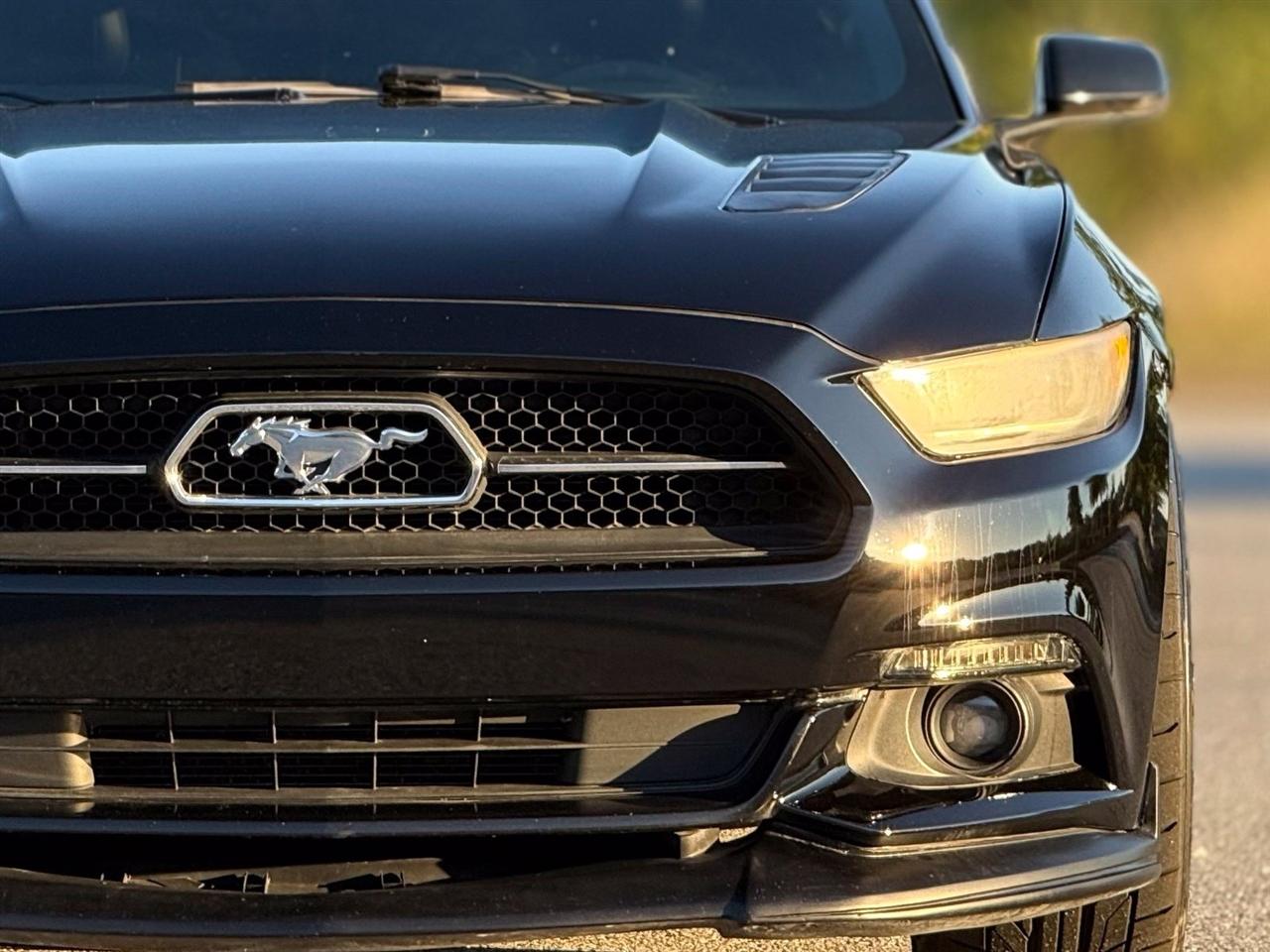 Ford Mustang  2015