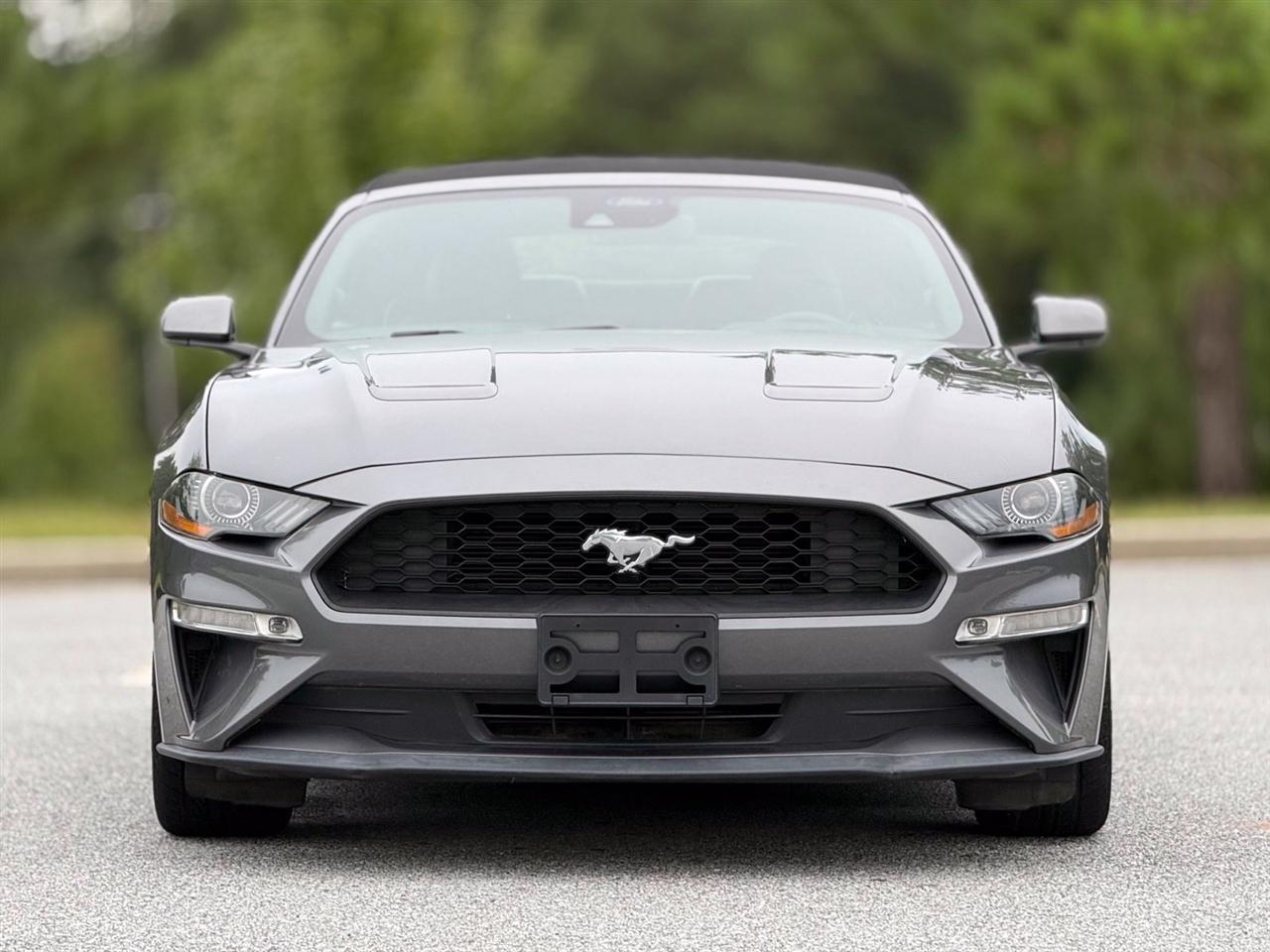 Ford Mustang photo 3