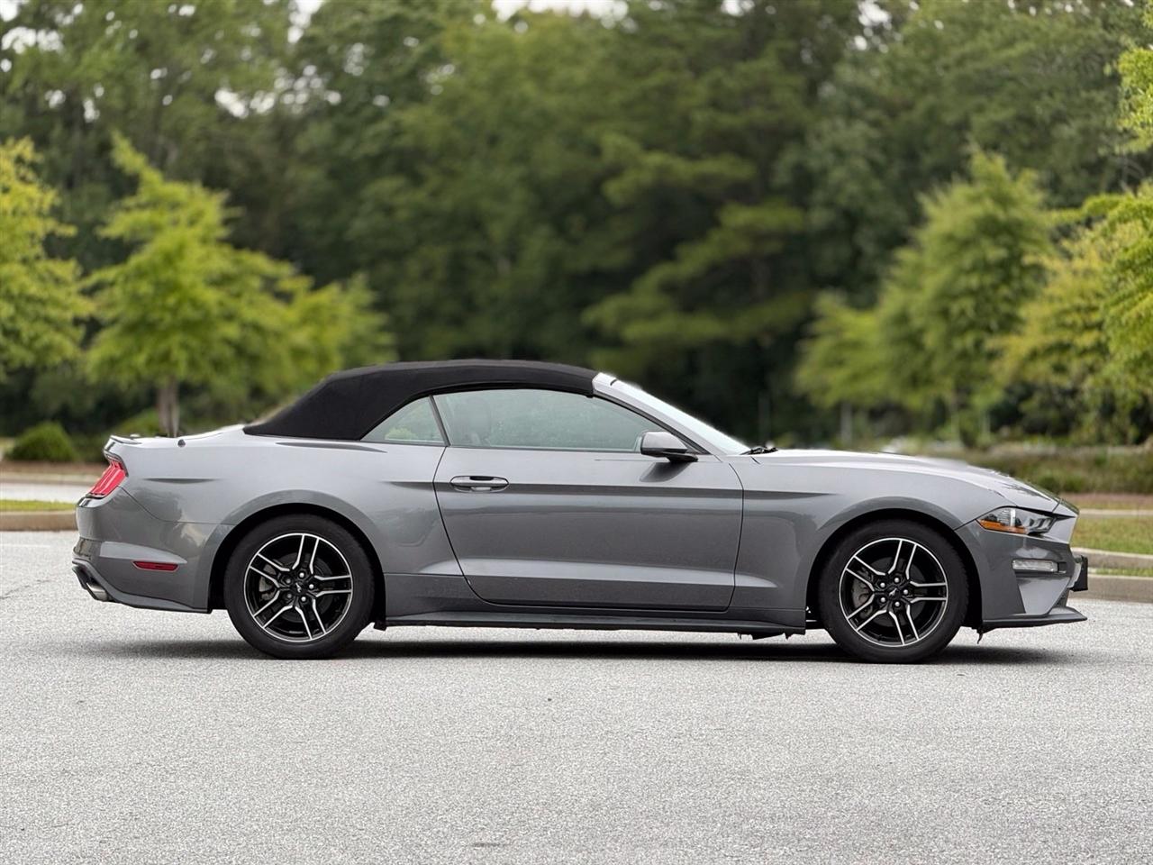 Ford Mustang photo 12