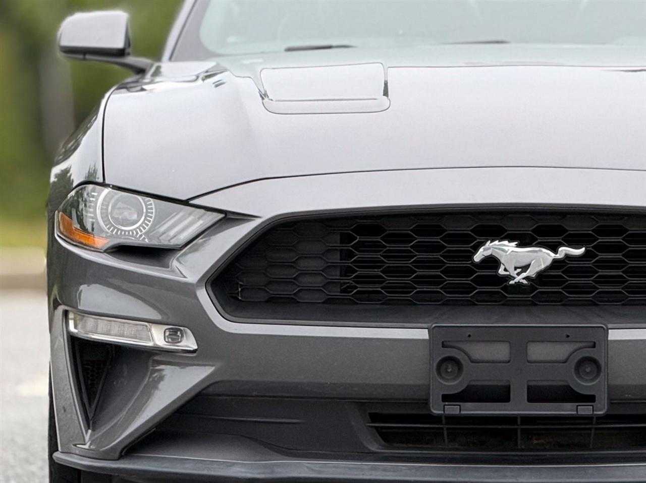 Ford Mustang photo 14
