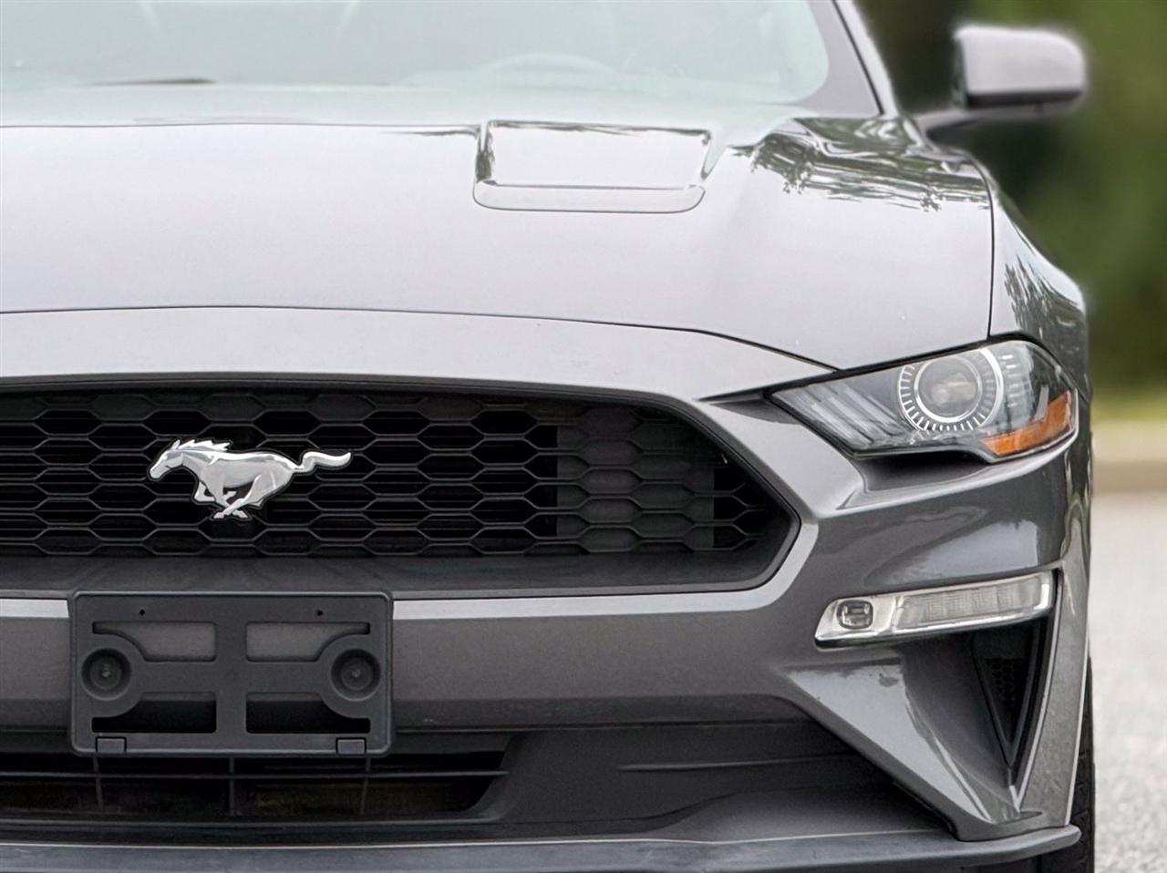 Ford Mustang photo 15