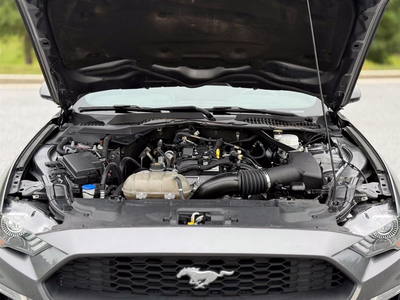 Ford Mustang photo 45