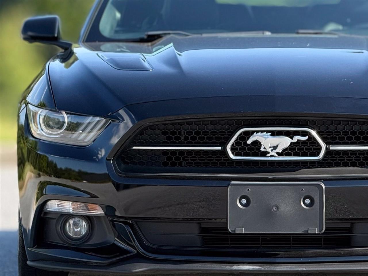 Ford Mustang photo 14