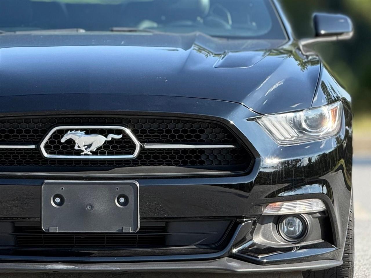Ford Mustang photo 15