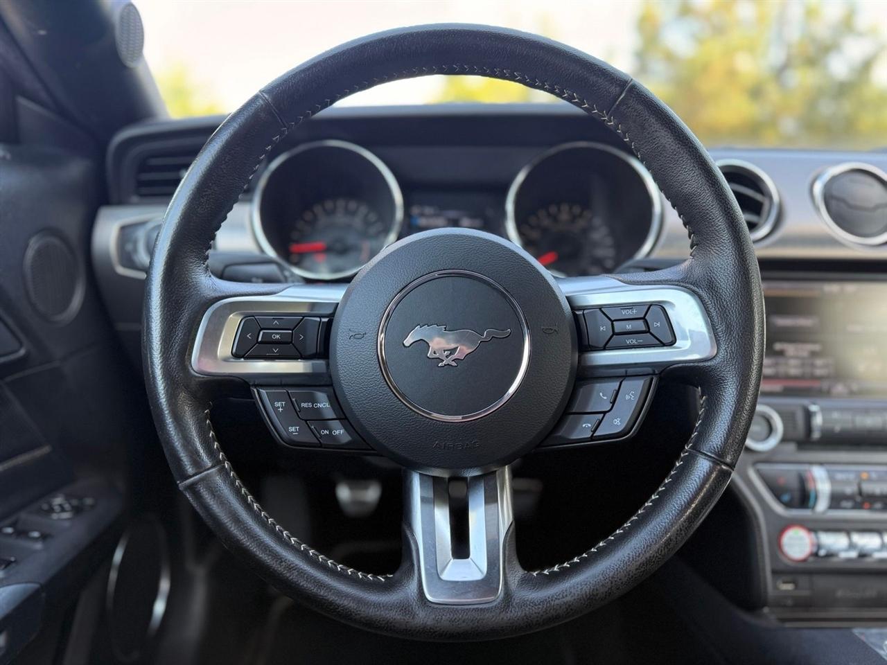 Ford Mustang photo 25