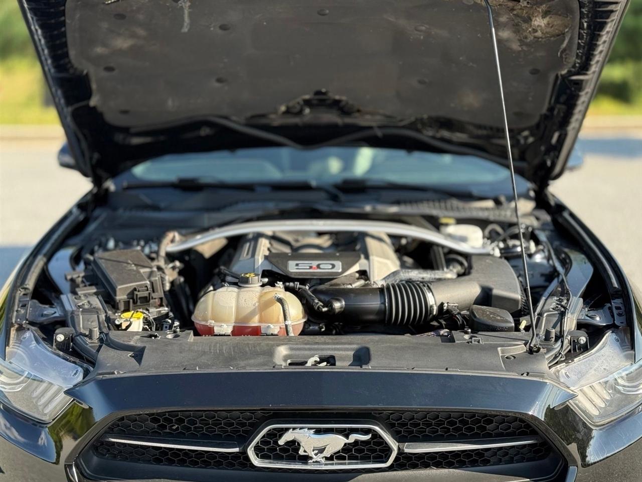 Ford Mustang photo 44
