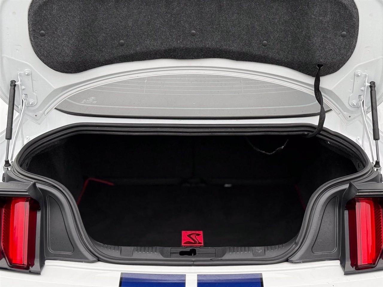 Ford Mustang photo 45