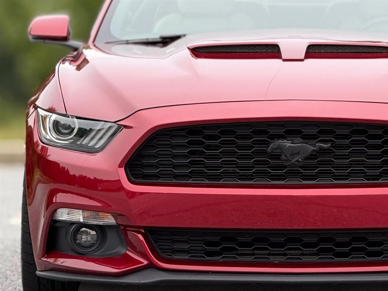Ford Mustang photo 14