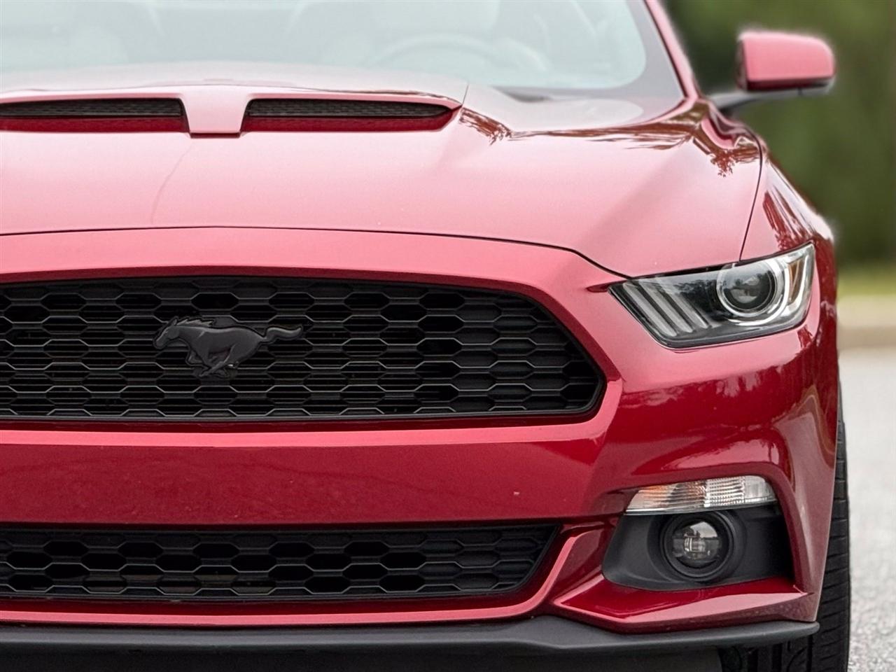Ford Mustang photo 15