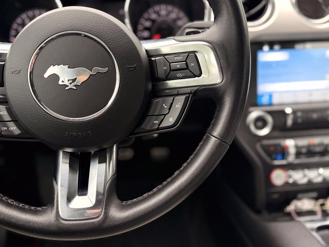 Ford Mustang photo 27