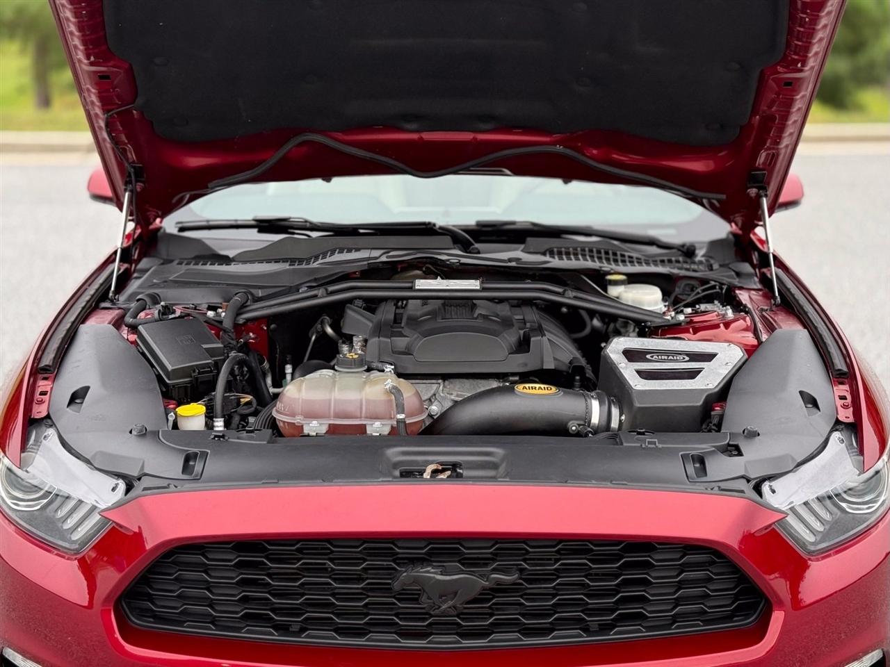 Ford Mustang photo 45