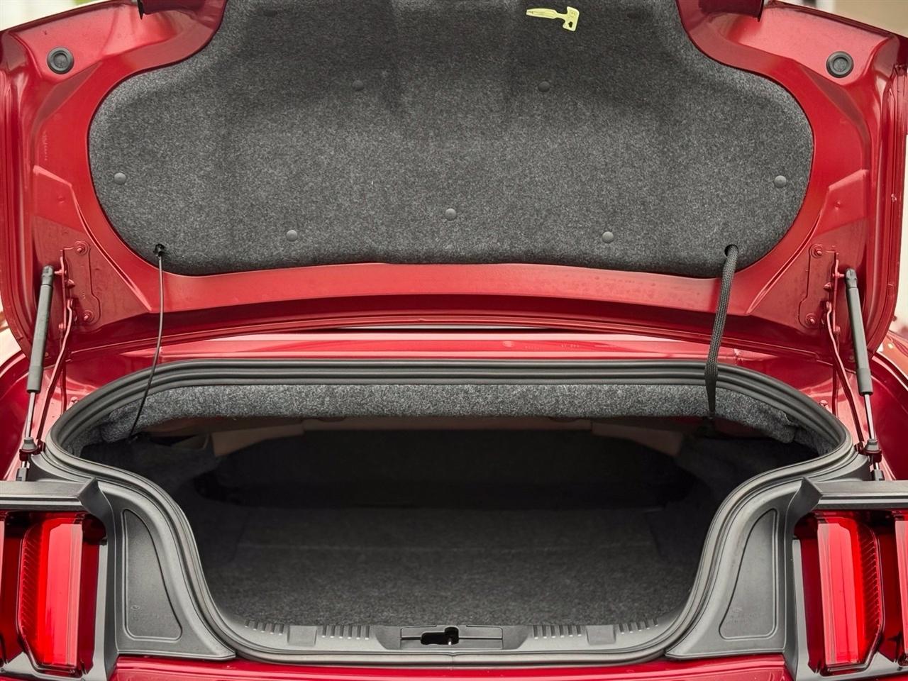 Ford Mustang photo 46