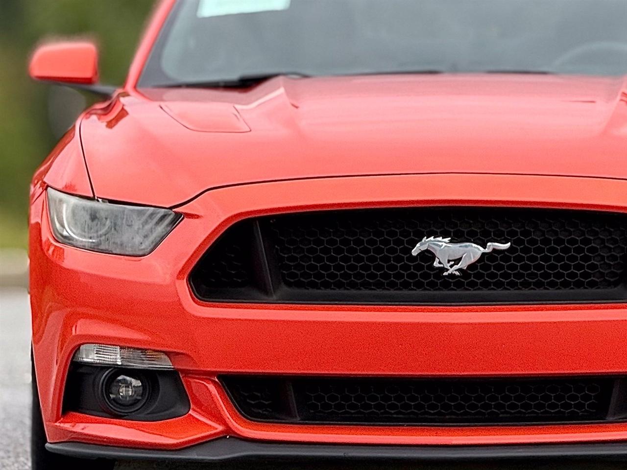Ford Mustang photo 14