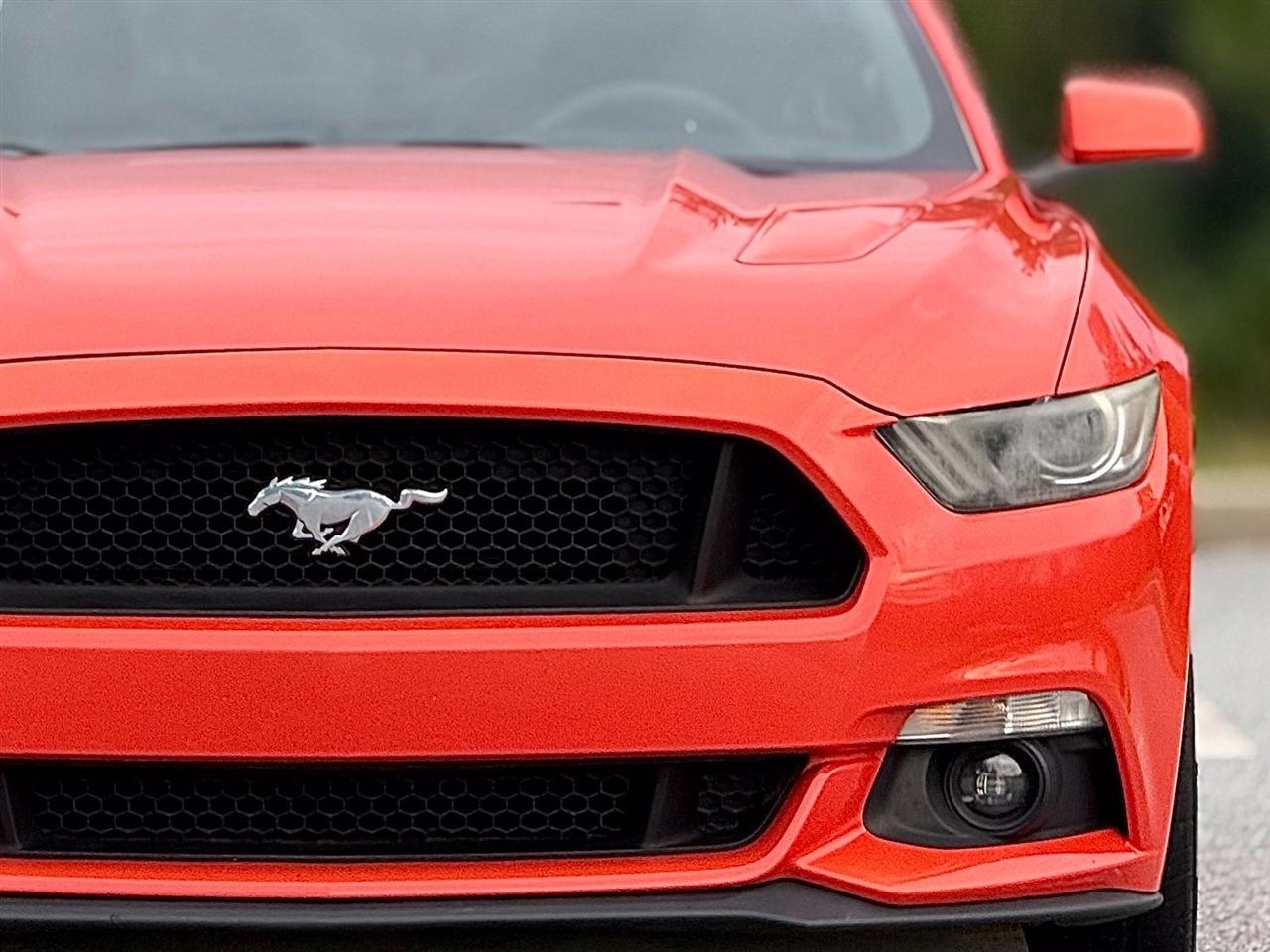 Ford Mustang photo 15