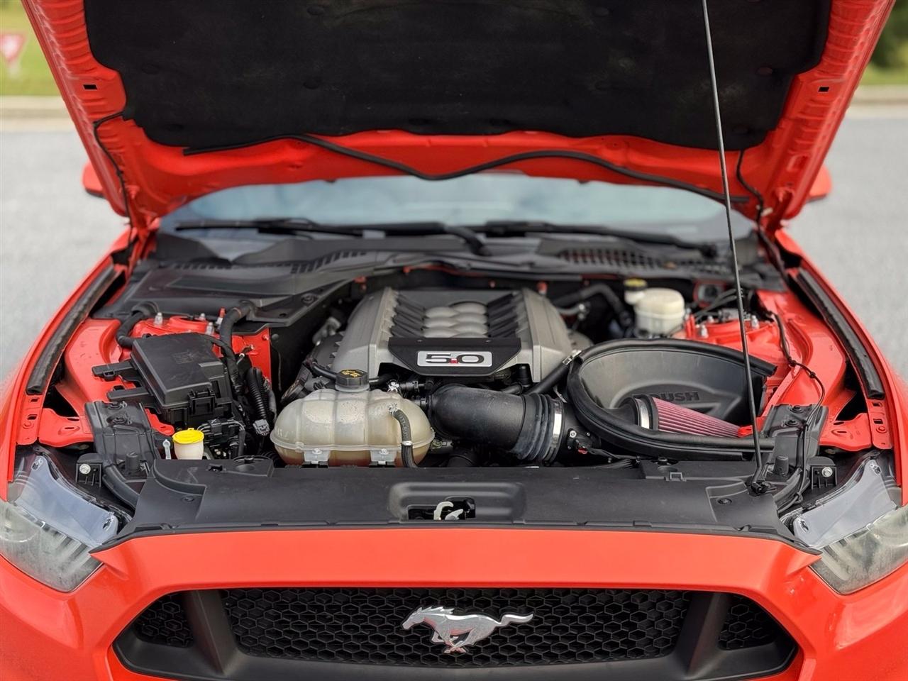 Ford Mustang photo 44