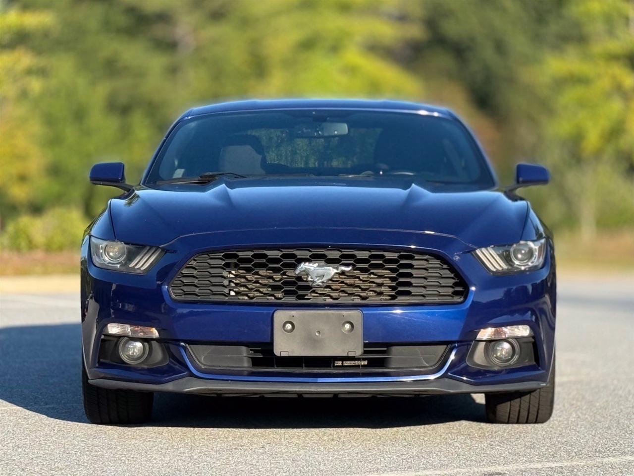 Ford Mustang photo 3