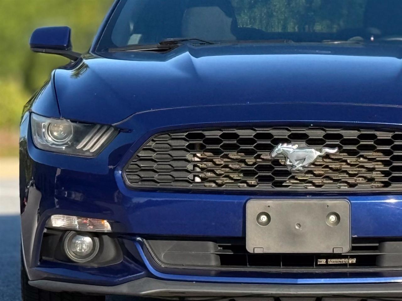 Ford Mustang photo 14