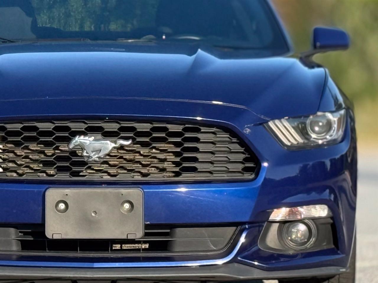 Ford Mustang photo 15