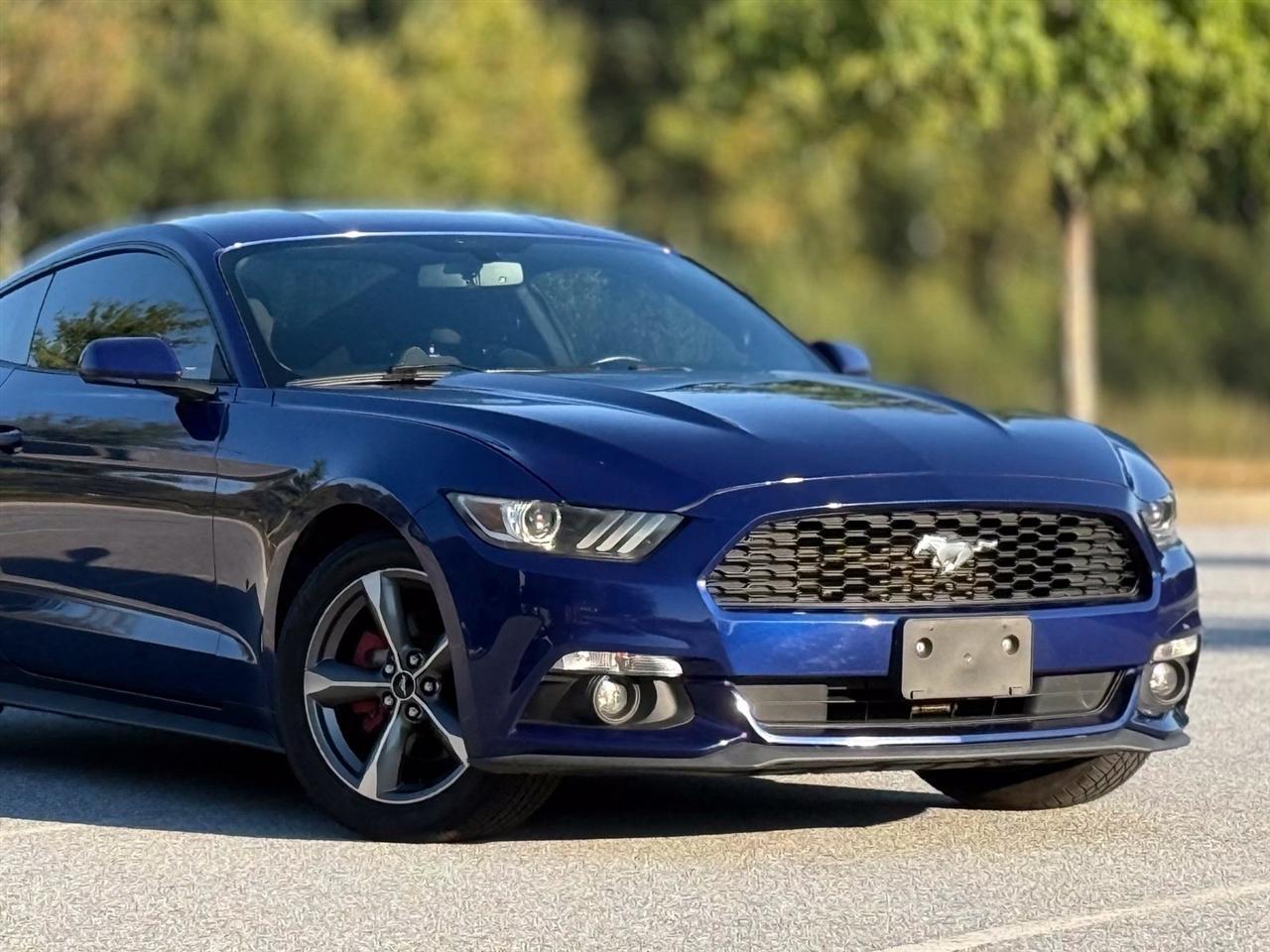 Ford Mustang photo 43