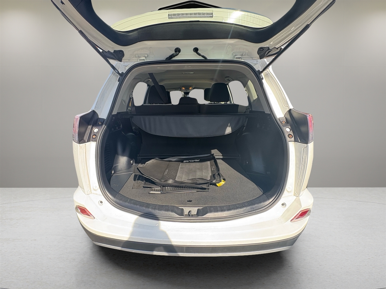 2018 Toyota RAV4 Hybrid LE photo 31