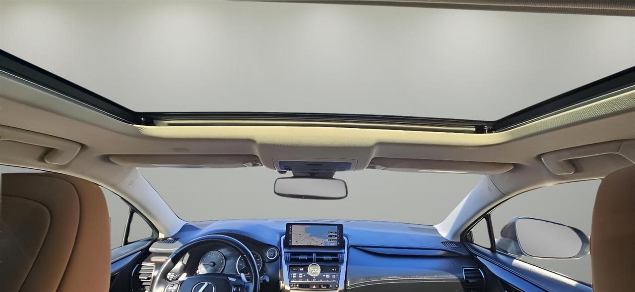 Lexus NX NX 300 AWD 2019