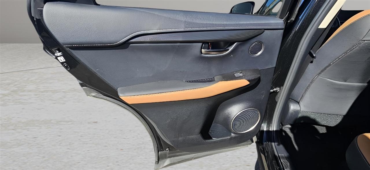 Lexus NX NX 300 AWD 2019