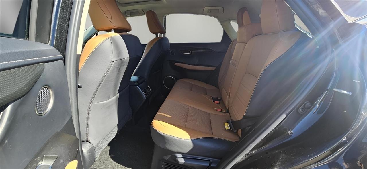 Lexus NX NX 300 AWD 2019