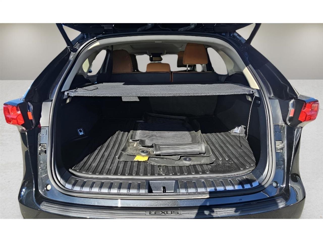 Lexus NX NX 300 AWD 2019