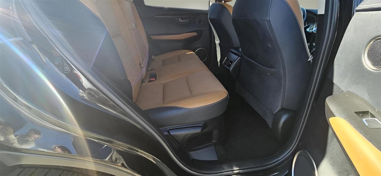 Lexus NX NX 300 AWD 2019