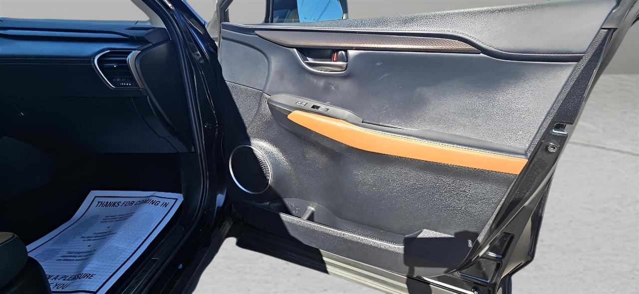 Lexus NX NX 300 AWD 2019