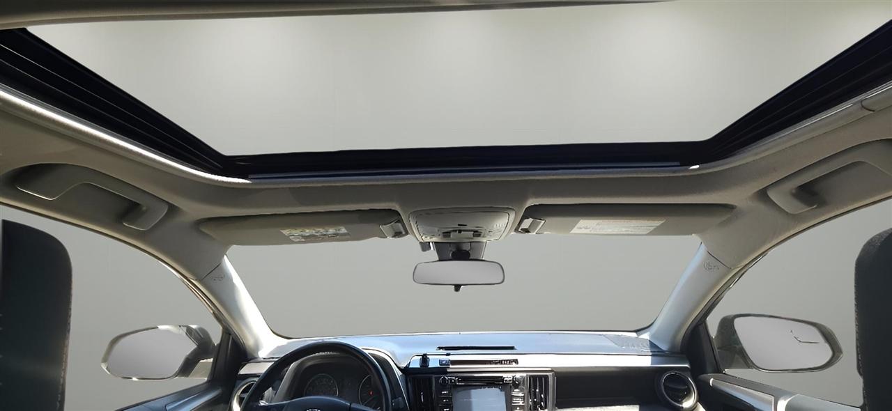 Toyota RAV4 XLE AWD (Natl) 2017