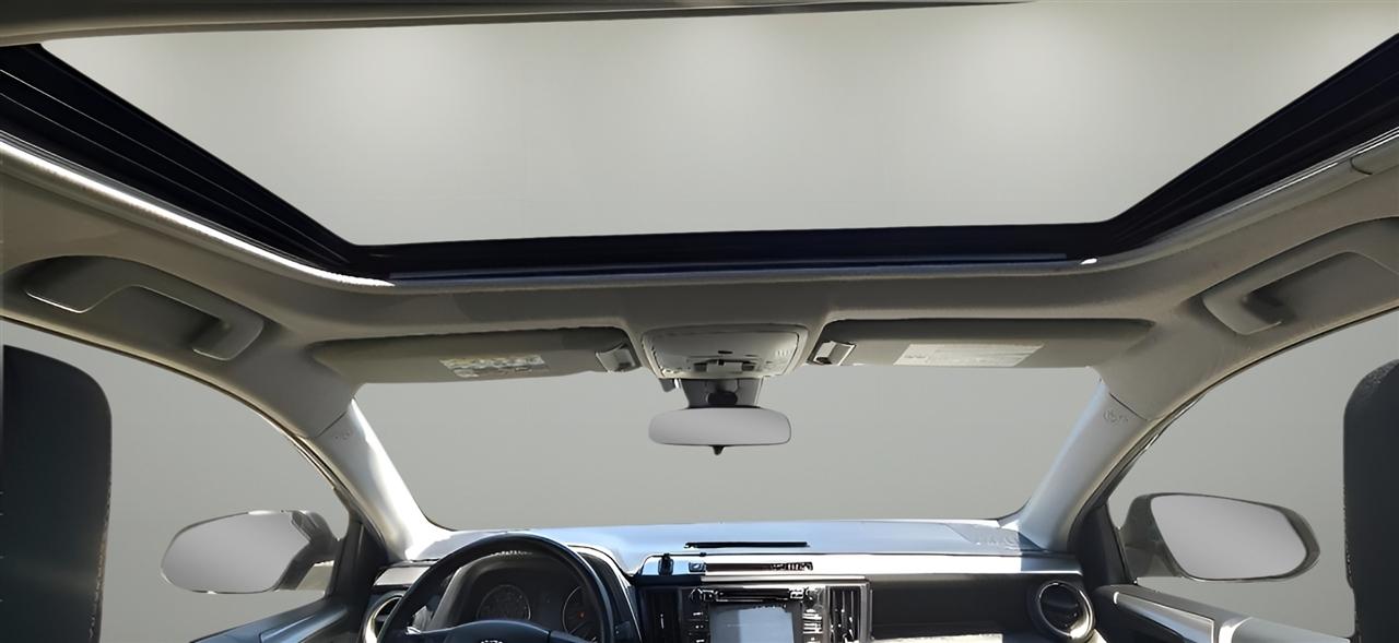 Toyota RAV4 XLE AWD (Natl) 2017