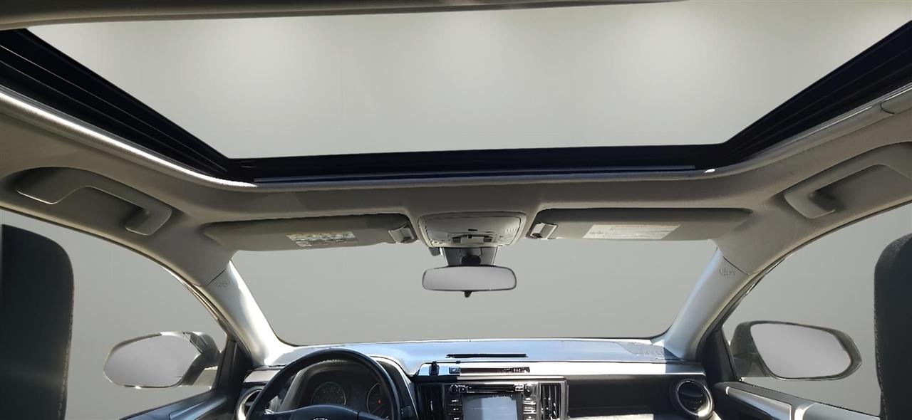 Toyota RAV4 XLE AWD (Natl) 2017