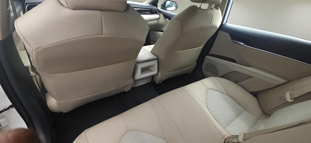 Toyota Camry XLE Auto (Natl) 2019