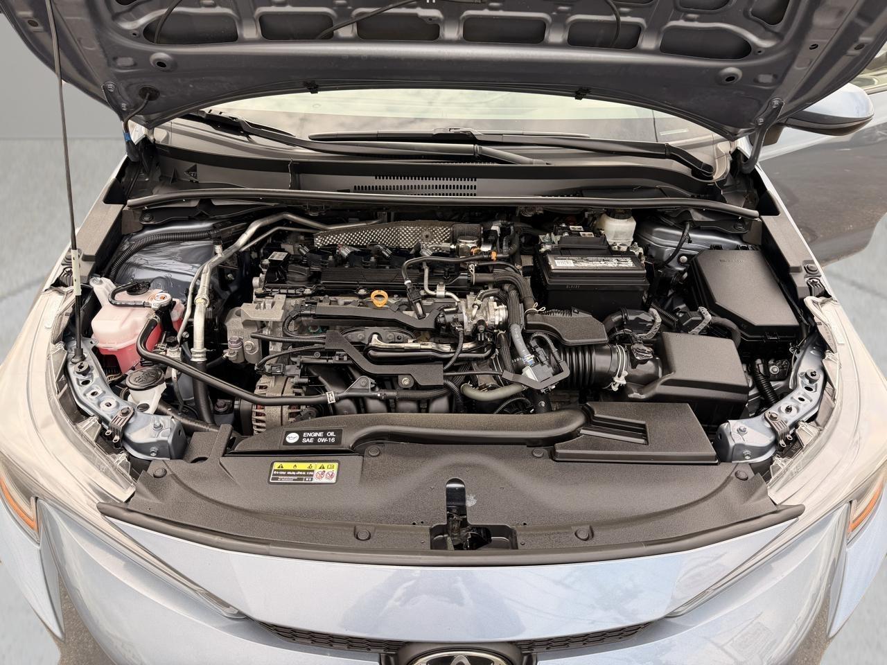 Toyota Corolla LE 2023