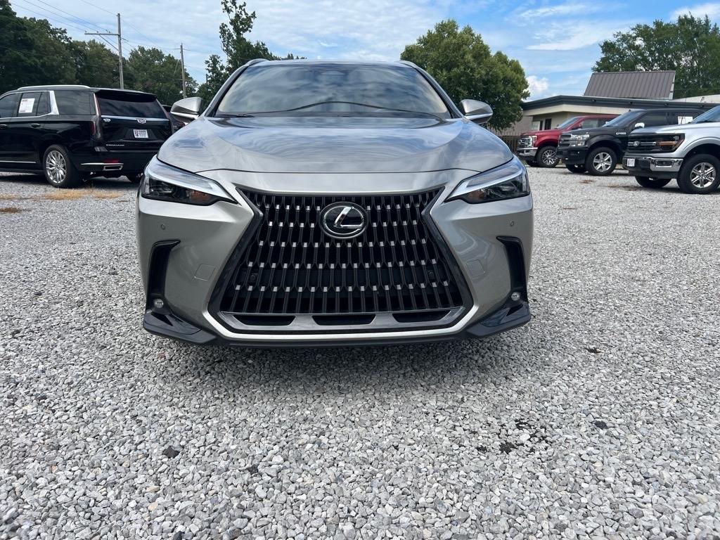 Lexus NX  2025