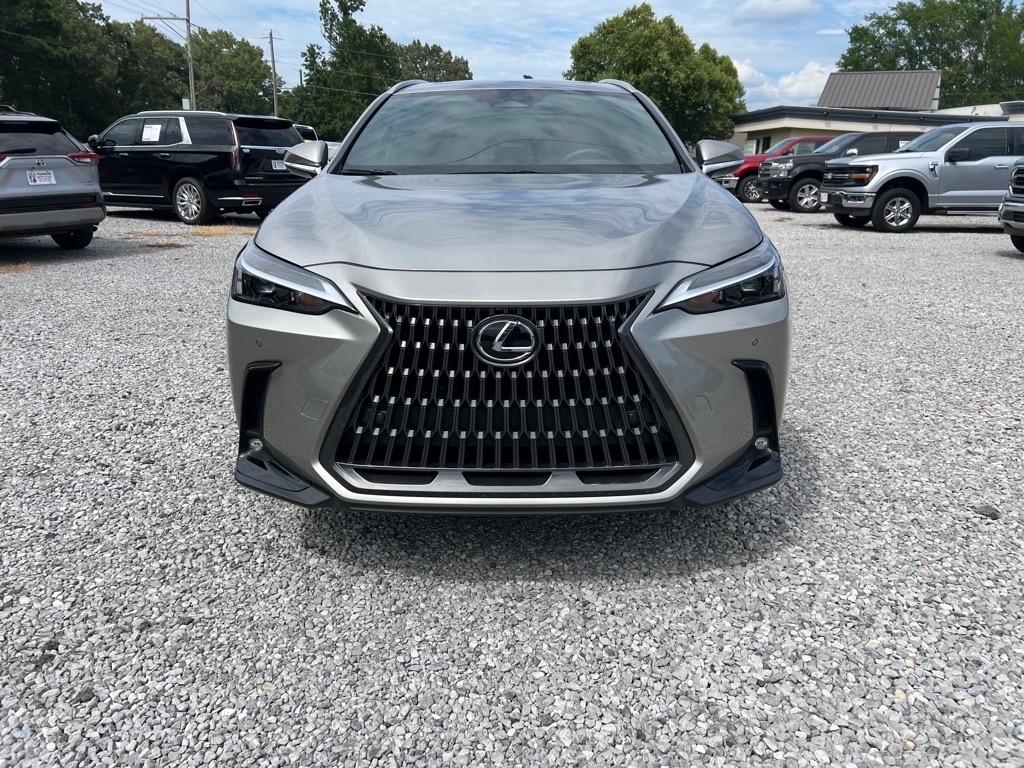 Lexus NX  2025