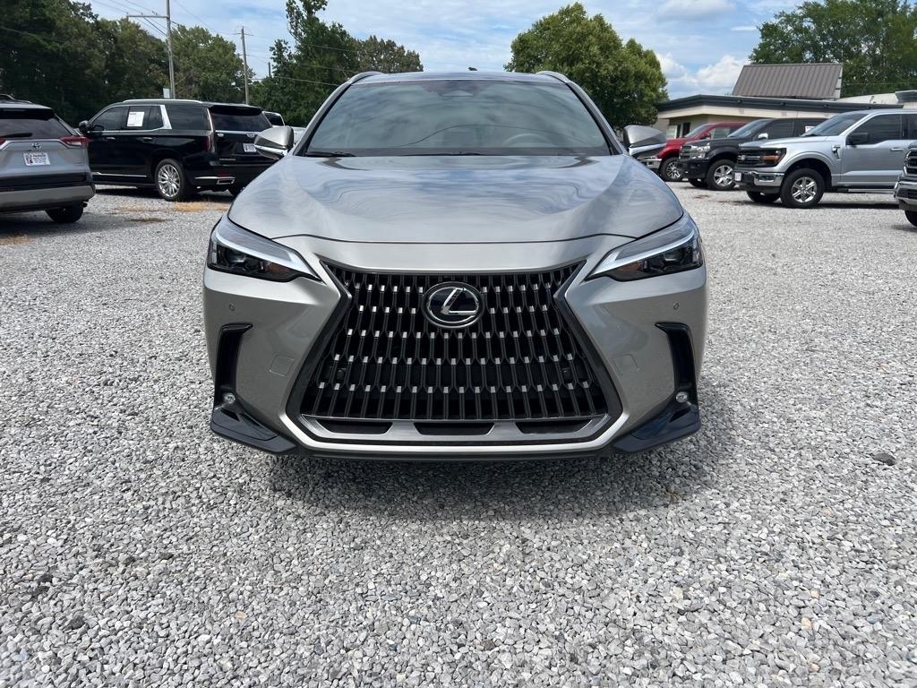 Lexus NX  2025