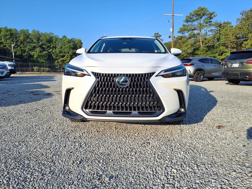 2023 Lexus NX 350 AWD Premium photo 4