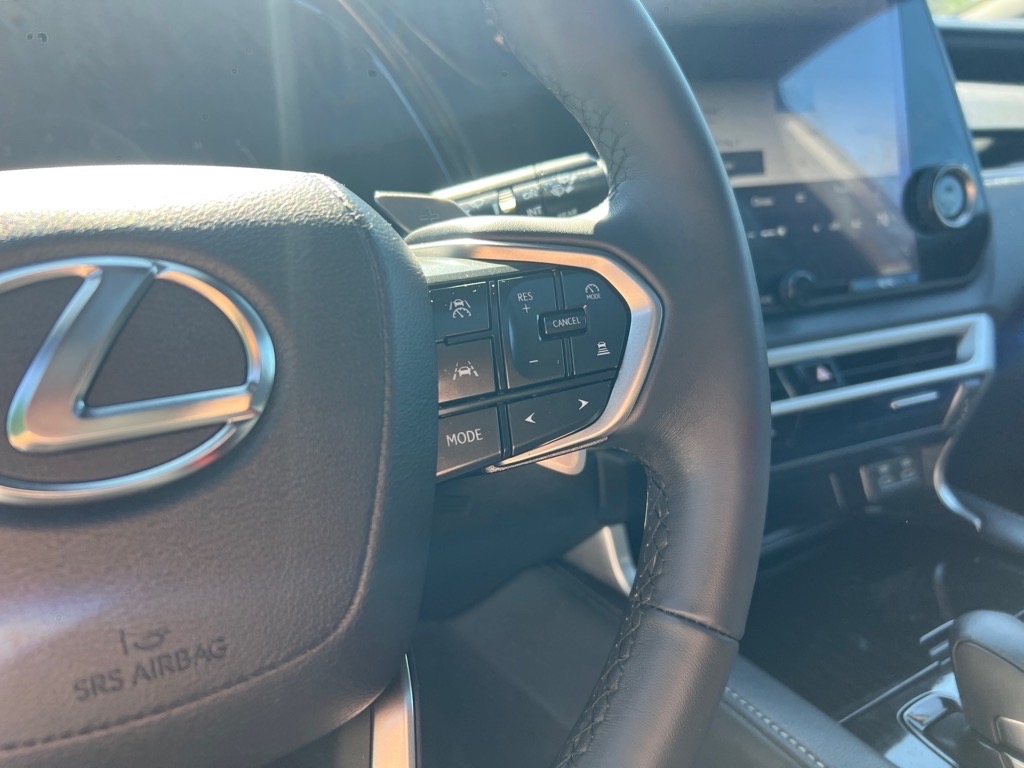 2024 Lexus RX 350 photo 12