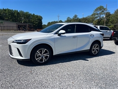 2024 Lexus RX  2024 Lexus RX