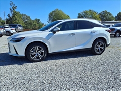 2024 Lexus RX  2024 Lexus RX