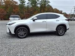 2023 Lexus NX 350 