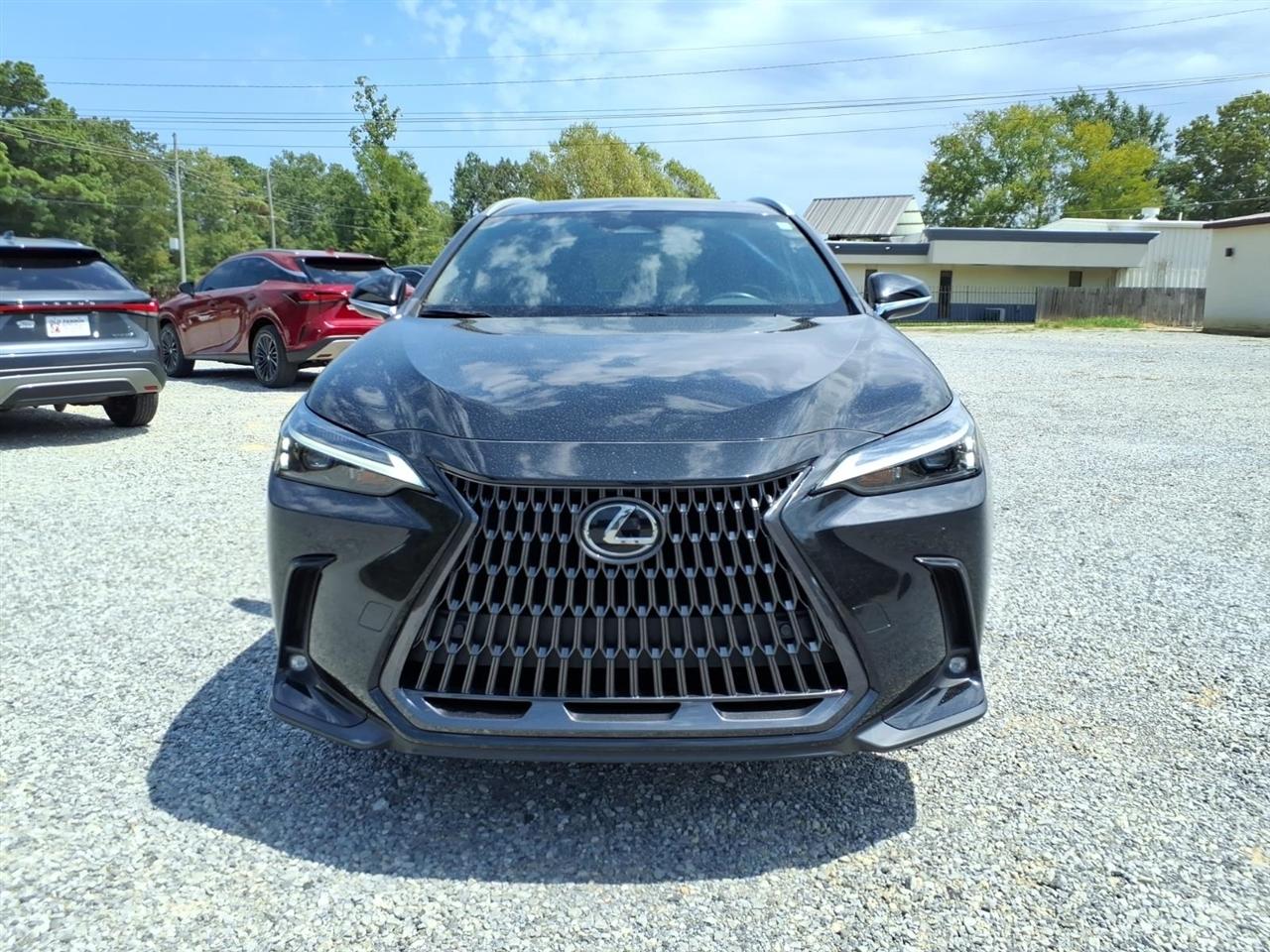 Lexus NX  2024