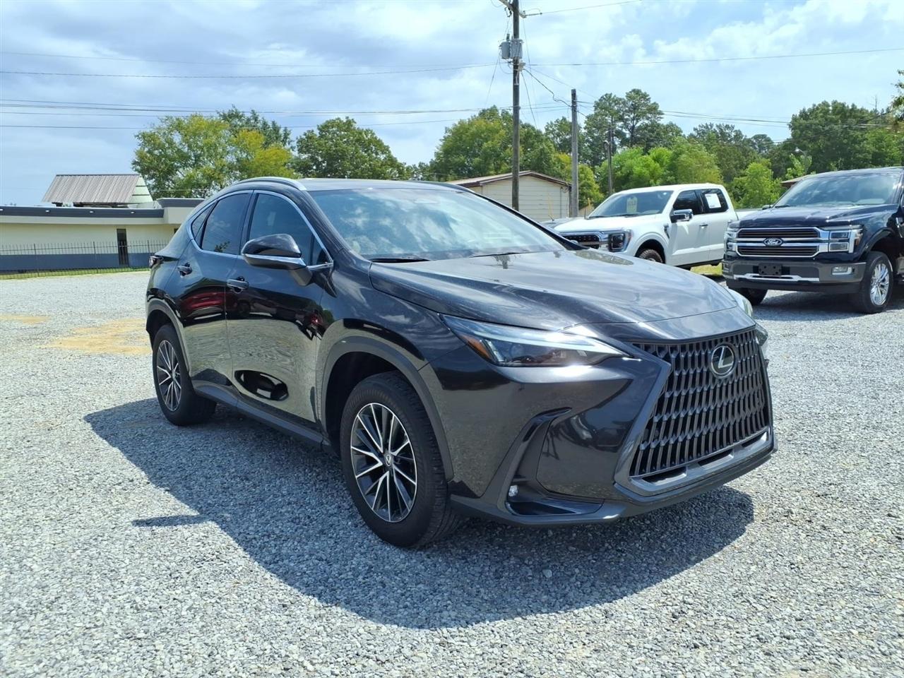 Lexus NX  2024