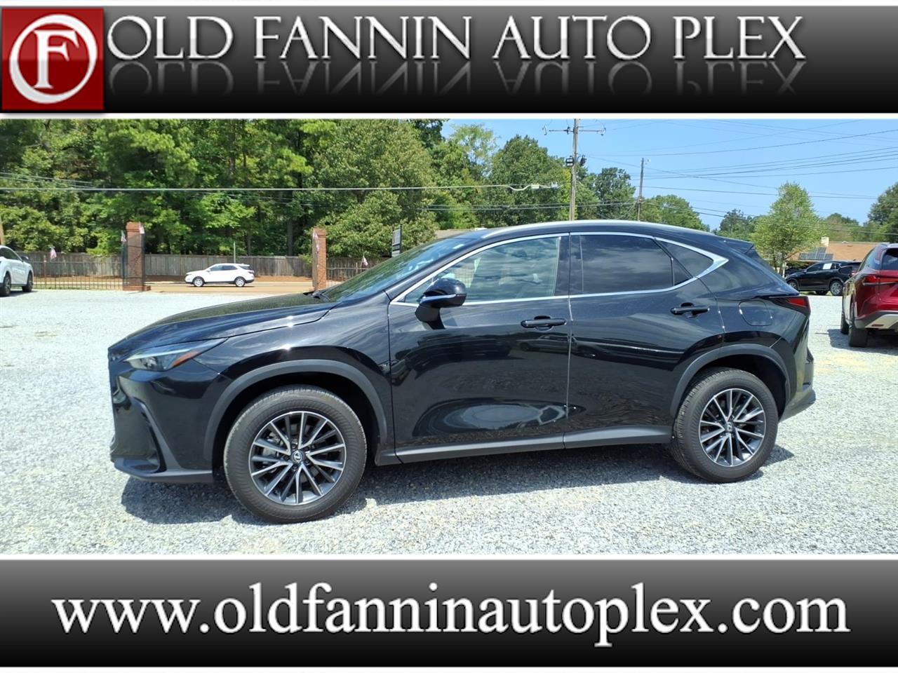 Lexus NX  2024