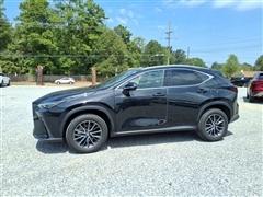 2024 Lexus NX 