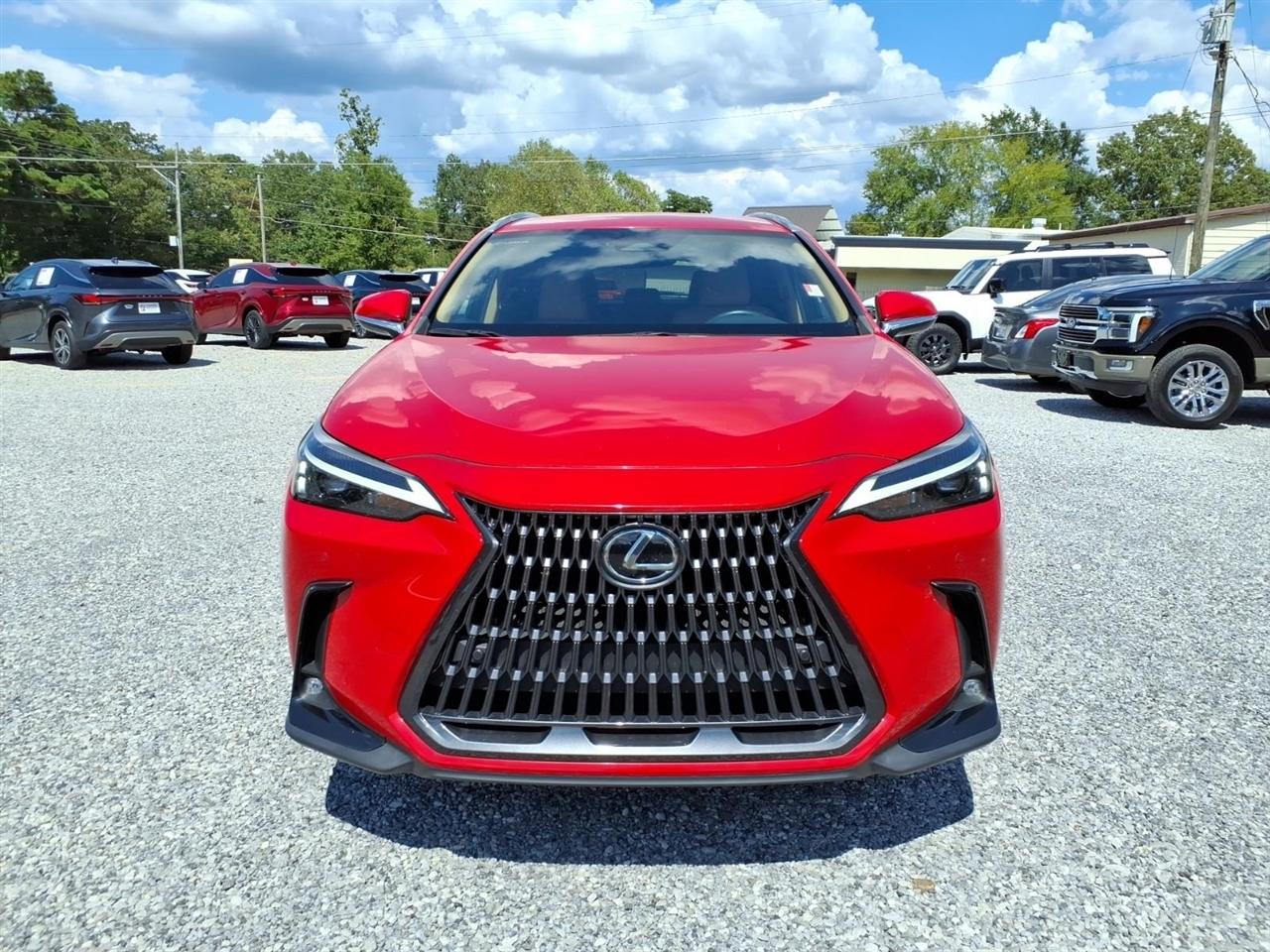 Lexus NX  2025